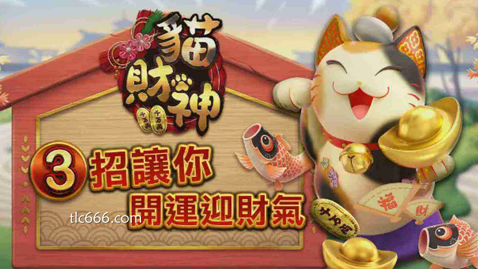 同乐城 招财喵游戏：一种不张扬却很耐玩的轻松娱乐体验