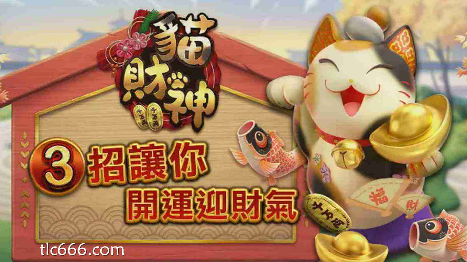 同乐城 招财喵游戏：一种不张扬却很耐玩的轻松娱乐体验